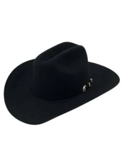 Stetson Shasta 10X Felt Western Hat