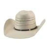 Bullhide High Stake 25X Straw Hat