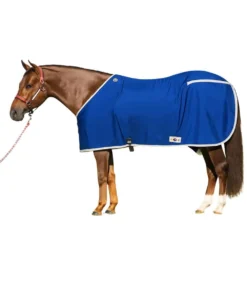 Big D Closed Front Stable Sheet -Cowpokes Onlines.com 5CSTD blue