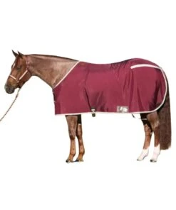 Big D Closed Front Stable Sheet