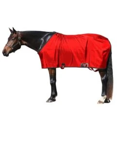Big D Nylon Stable Sheet -Cowpokes Onlines.com 5STDBLANK red
