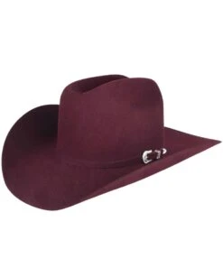 Bailey 4X Lightning Felt Hat