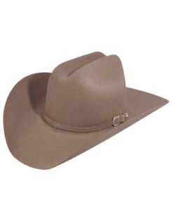 Bailey 4X Lightning Felt Hat -Cowpokes Onlines.com 8614 36 3