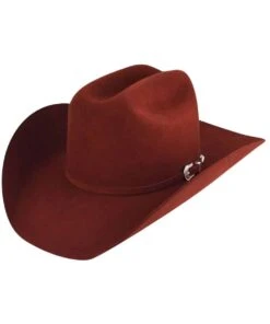 Bailey 4X Lightning Felt Hat -Cowpokes Onlines.com 8614 36 4