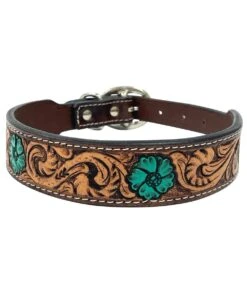 Bar H Equine Ella Young Dog Collar