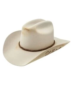 Charlie 1 Horse Women's Whirlwind Western Hat