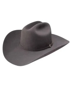 Resistol Logan 6X Felt Hat