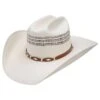 Stetson Billy Straw Hat