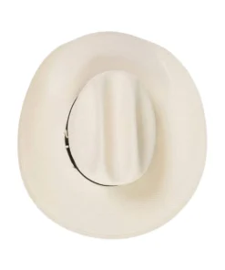 Stetson Southpoint 10X Straw Hat -Cowpokes Onlines.com SSSTPT 6844 c