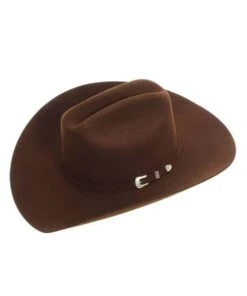 Stetson Oak Ridge 3X Felt Hat