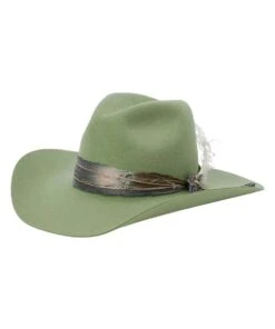 Stetson Women's Laurel Hill Fashion Hat